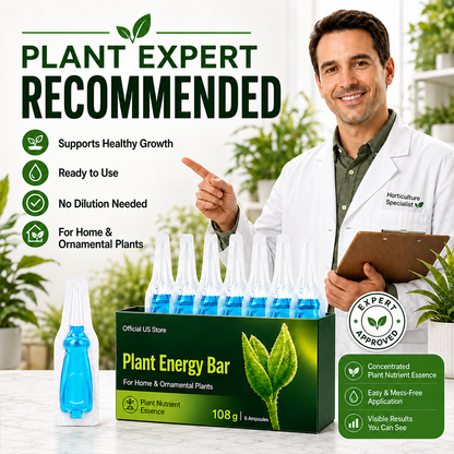 LOVILDS® Plant Energy Bar