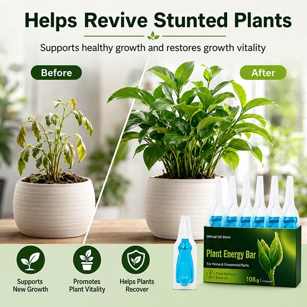 LOVILDS® Plant Energy Bar